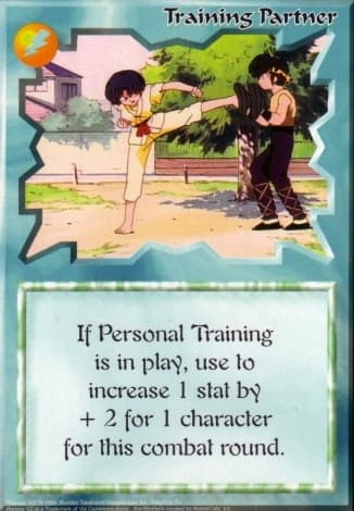 Training Partner — image 1