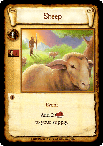 Sheep — image 1