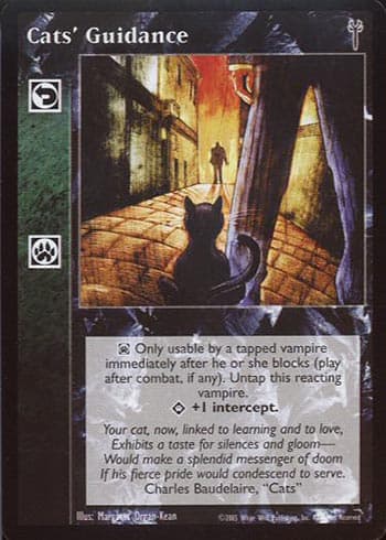 Cats' Guidance — image 1