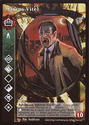 Marcus Vitel (ADV) — image 1