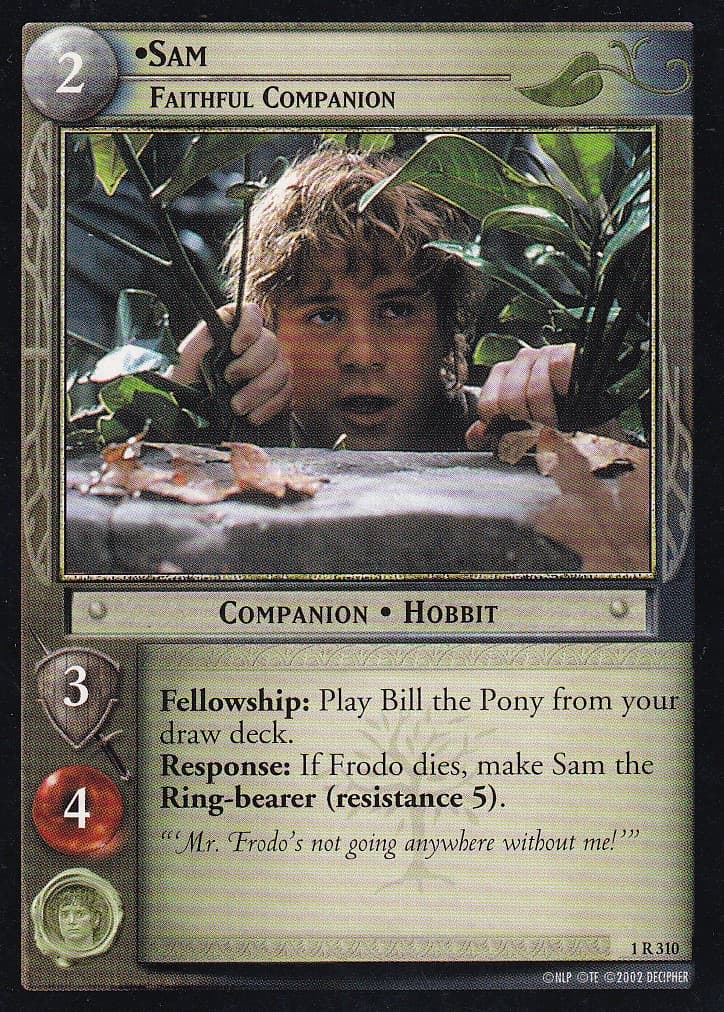 Sam, Faithful Companion — image 1