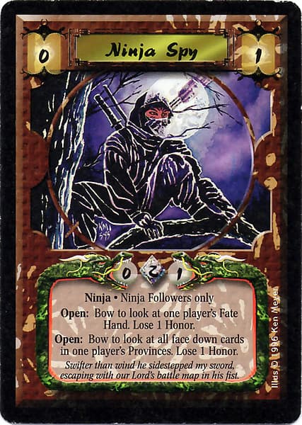 Ninja Spy — image 1