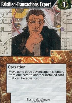 Falsified-Transactions Expert — image 1