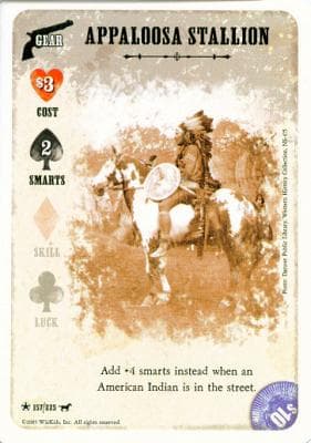 Appaloosa Stallion — image 1