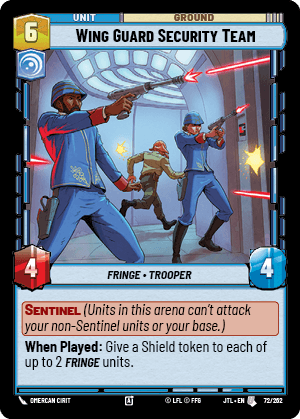 Wing Guard Security Team — image 1