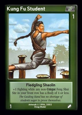 Kung Fu Student — image 1