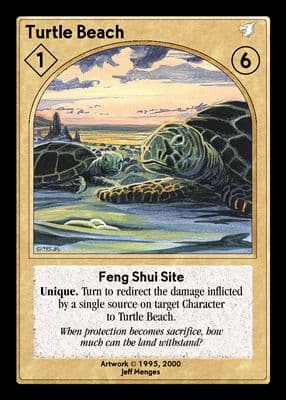 Turtle Beach — image 1